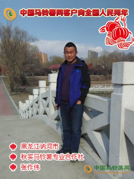 黑龍江訥河市秋實馬鈴薯專業合作社張作偉