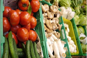 鄭州：節后大部分蔬菜價格降幅明顯 ()