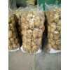 大量供應滕州荷蘭土豆