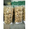 大量供應(yīng)滕州荷蘭土豆，質(zhì)優(yōu)價(jià)廉