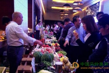上海市：規模化外延蔬菜基地在多省建立 ()