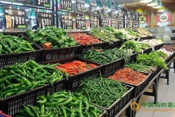 江西省：九月開學(xué)季 菜價穩(wěn)中有漲 ()