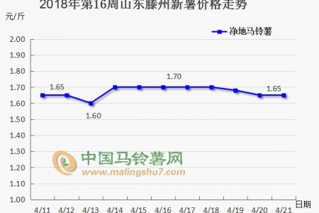 薯市短暫回暖 后期又將如何？ ()