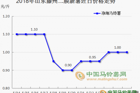 露天薯陸續入市  6月薯市能否安穩？ ()