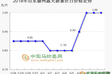 露天薯陸續上市，后市又將如何？ ()