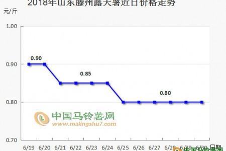 價格跳水后，后期能保持平穩嗎 ()
