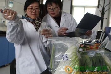 北京：嚴把蔬菜質量關 ()