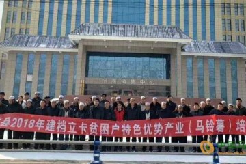 和政縣：為馬鈴薯種植技術“充電” ()