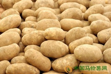 青海：二十余萬畝馬鈴薯創5億產值 ()