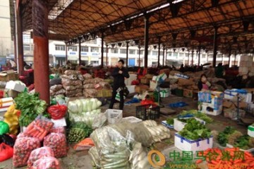 青海：蔬菜價(jià)格回落 ()
