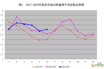 下半年青島蔬菜貴不貴？ ()