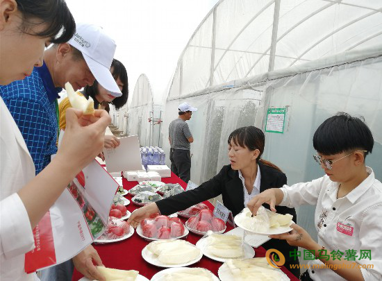 馬鈴薯產(chǎn)銷對(duì)接會(huì)