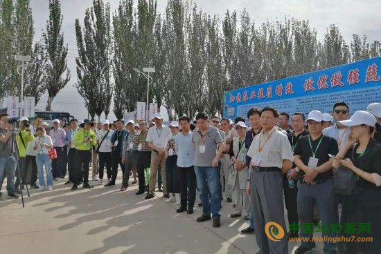 馬鈴薯產(chǎn)銷對(duì)接會(huì)