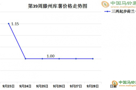 新薯交易尚可 庫(kù)薯購(gòu)銷(xiāo)不旺 ()