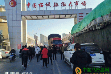 2019北方辣椒市場調(diào)研介紹【柘城站】 ()