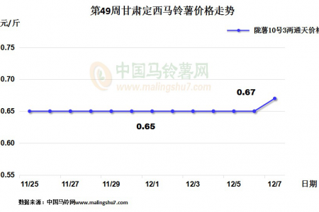 薯市整體維穩(wěn) 定西購(gòu)銷(xiāo)兩旺 ()