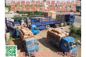 山東滕州土豆，滕州馬鈴薯，滕州土豆
