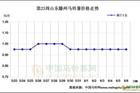 露天新薯即將登場(chǎng) 薯市將如何發(fā)展? ()