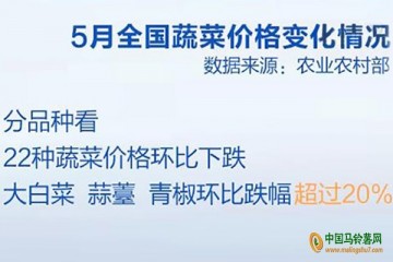全國蔬菜價格繼續保持季節性下行 ()