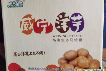 威寧：小土豆成就大產業 ()