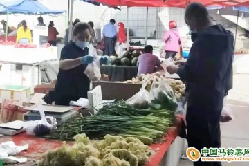 嘉峪關：蔬菜價格親民 ()