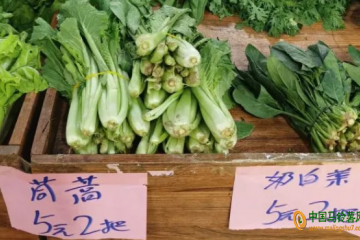 河北：蔬菜價格大幅回落 ()