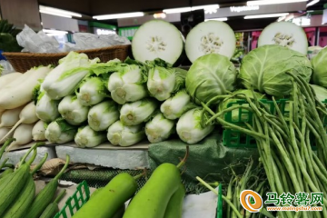 江蘇：寒潮來(lái)襲 菜價(jià)穩(wěn)定 ()