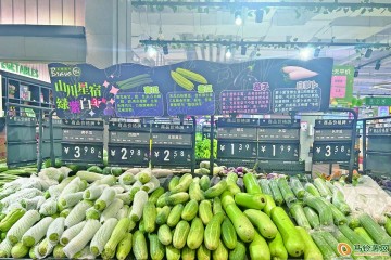 南寧：蔬菜價格持續(xù)回落 ()
