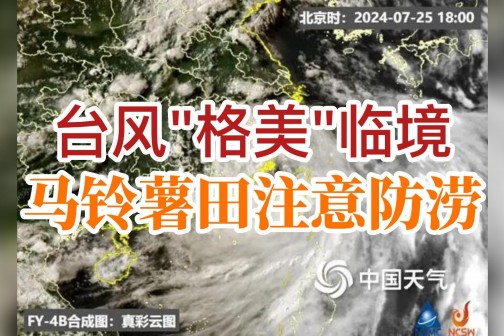 臺風“格美”臨境，馬鈴薯田注意防澇
