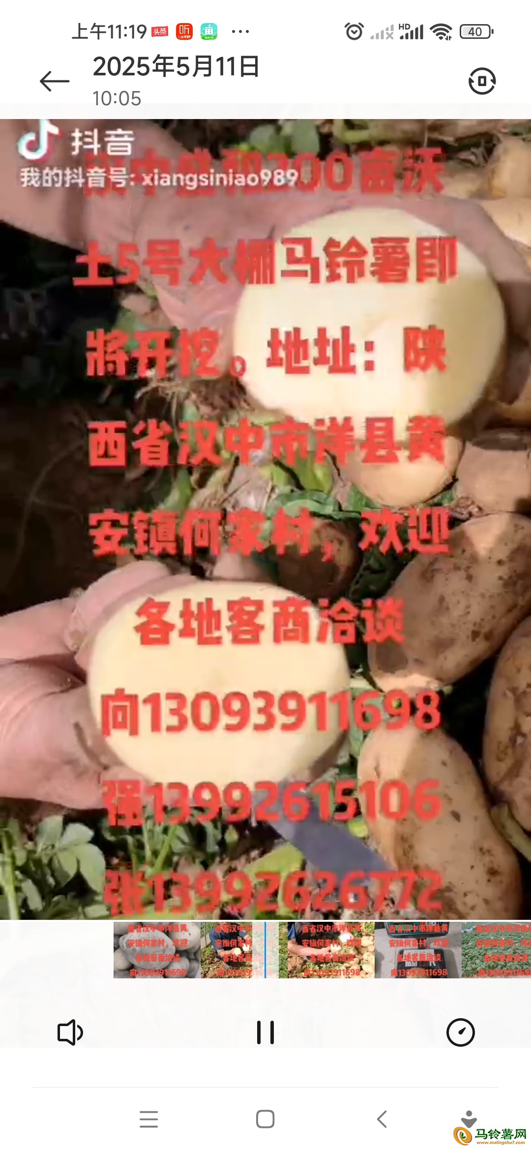 200畝優(yōu)質(zhì)新土豆上市2兩起步 ()
